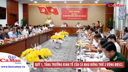 Quý I, tăng trưởng kinh tế của Cà Mau đứng thứ 3 vùng ĐBSCL