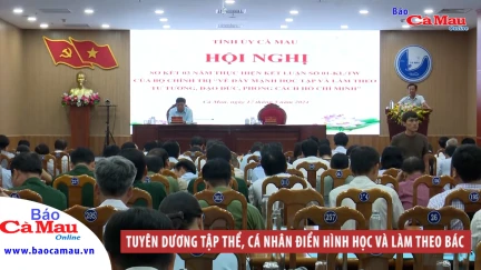 Tuyên dương tập thể, cá nhân điển hình học và làm theo Bác