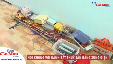 Nói không với đánh bắt thủy sản bằng xung điện