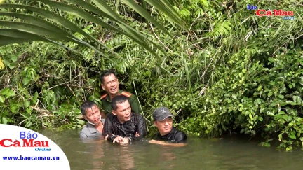 Cà Mau: Triệt xoá tụ điểm đá gà ăn tiền giữa đồng trống