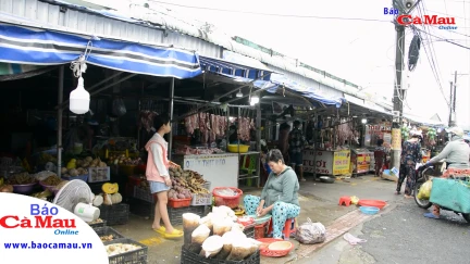 Tuân thủ các quy định pháp luật trong chăn nuôi, giết mổ gia súc, gia cầm