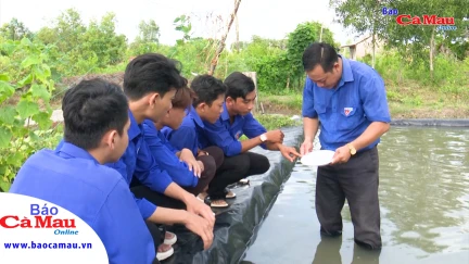 Đoàn viên, thanh niên khởi nghiệp thành công