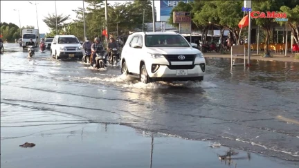 Cà Mau: Theo dõi chặt, ứng phó triều cường nhanh, phù hợp