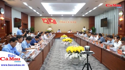 Phải nỗ lực vượt bậc hơn nữa trên tất cả các lĩnh vực