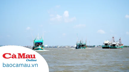 Hướng tới nghề cá bền vững