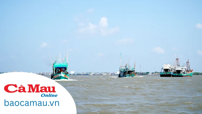 Hướng tới nghề cá bền vững