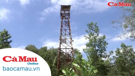 Thực thi pháp luật - Lá chắn bảo vệ rừng