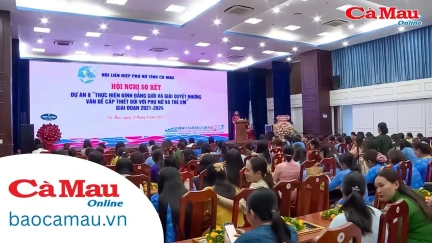 Thực hiện hiệu quả mục tiêu bình đẳng giới