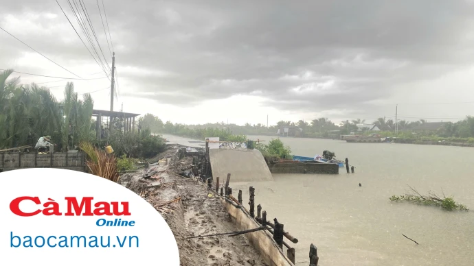 Cấp bách khắc phục sạt lở tuyến kênh Khai Hoang