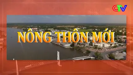 Nông thôn mới 10/9/2025: Các mô hình sản xuất hiệu quả trong xây dựng nông thôn mới