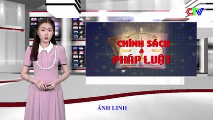 Chính sách pháp luật 12/9/2025