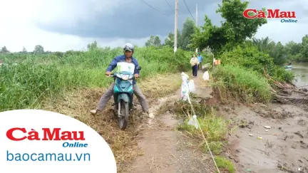 Xã An Trạch gặp nhiều khó khăn trong khắc phục sạt lở