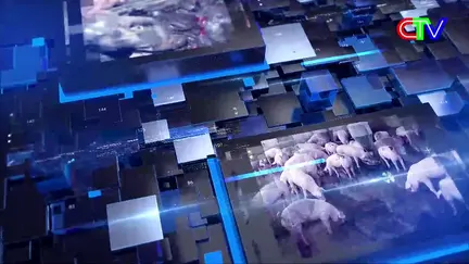 Bản tin thị trường 22/9/2025