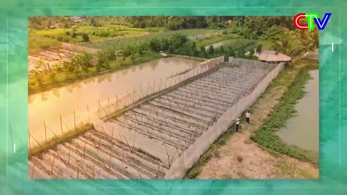 Nông thôn mới 24/9/2025: Tạo sinh kế cho người dân nông thôn thoát nghèo bền vững