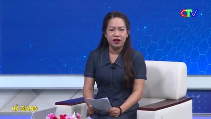 Vấn đề bạn quan tâm 26/9/2025