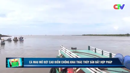 Pháp luật và đời sống 11/10/2025: Chống khai thác hải sản bất hợp pháp không báo cáo và không theo quy định (IUU)