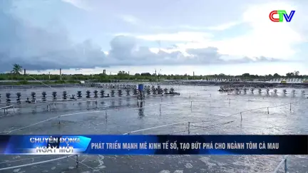 Chuyển động ngày mới 11/10/2025