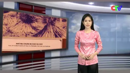 Hương sắc phương Nam 16/8/2025