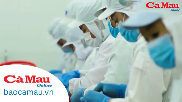 Tăng cường triển khai các chính sách BHXH, BHYT từ cơ sở