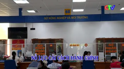 Cải cách hành chính 20/10/2025