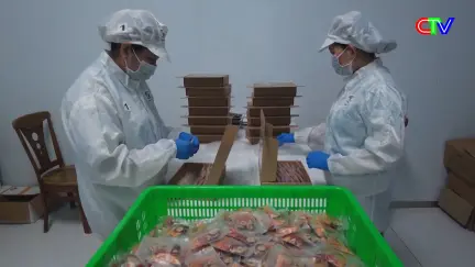 Nông nghiệp và Môi trường 22/10/2025: Hỗ trợ mô hình sản xuất - kinh doanh nông sản an toàn