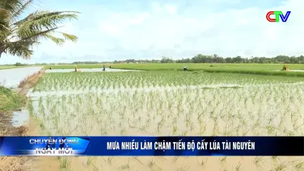 Chuyển động ngày mới 29/10/2025