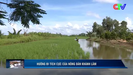 Nông nghiệp và Môi trường 29/10/2025: Phòng trừ sâu bệnh hại lúa trên đất lúa - tôm