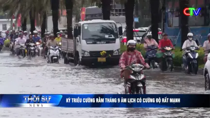 Bản tin trưa 31/10/2025