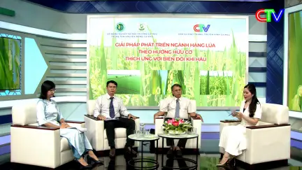 Đồng hành cùng nhà nông 02/11/2025 : Phấn khởi vụ lúa hữu cơ