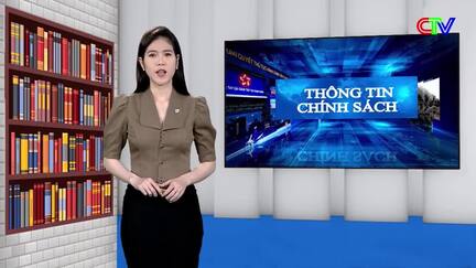 Thông tin chính sách 10/11/2025: Phát động cuộc thi thiết kế Logo mới tỉnh Cà Mau