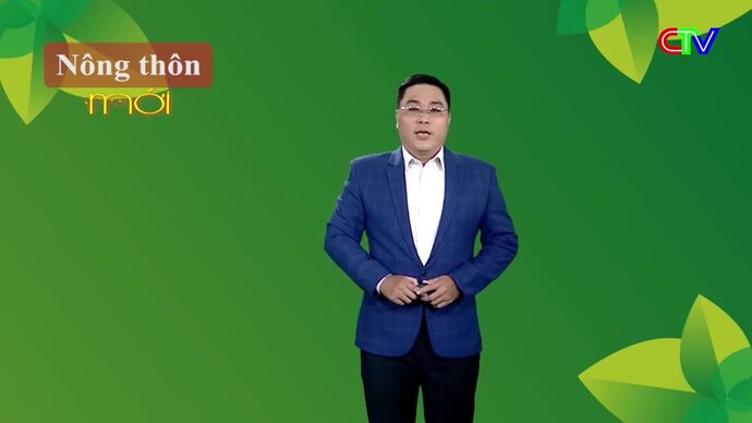 Nông thôn mới 12/11/2025: Phát triển kinh tế nông thôn – Nền tảng của nông thôn mới