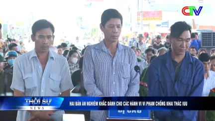 Thời sự tối 12/11/2025