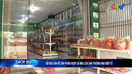 Bản tin trưa 13/11/2025