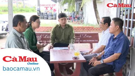 CHUYÊN ĐỀ BHXH HÀNG TUẦN (KỲ 2 THÁNG 11)