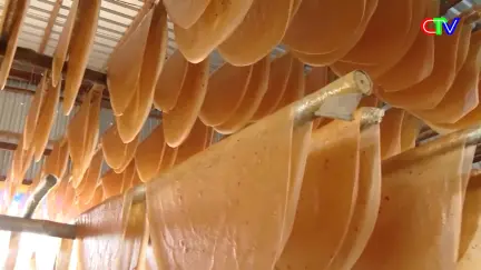 Nông dân Cà Mau 14/11/2025: Nông dân Cà Mau chung tay xây dựng nông thôn mới