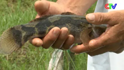 Chuyển động ngày mới 17/11/2025