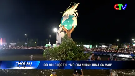 Thời sự tối 17/11/2025