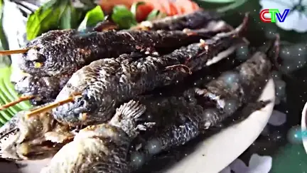 Hương sắc phương Nam 15/11/2025: Cà Mau rộn ràng Lễ hội Óc - Om - Bóc