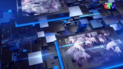 Bản tin thị trường 19/11/2025