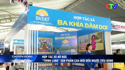 Chuyển động ngày mới 19/11/2025