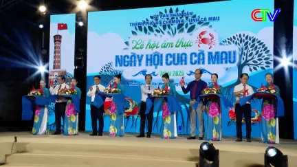 Bản tin trưa 19/11/2025