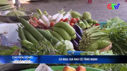 Chuyển động ngày mới 21/11/2025