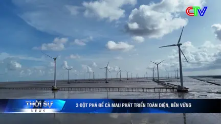 Thời sự tối 22/11/2025