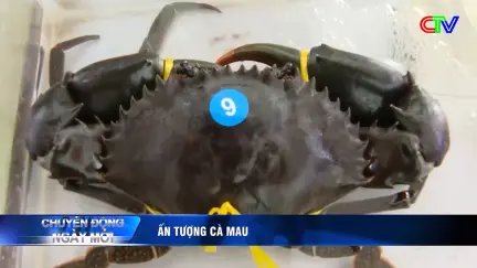 Chuyển động ngày mới 24/11/2025