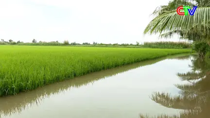 Nông nghiệp môi trường 26/11/2025