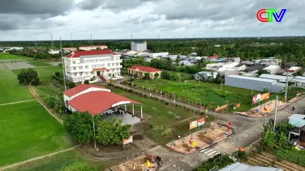 Nông thôn mới 26/11/2025