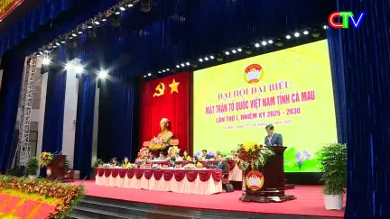 Bản tin trưa 28/11/2025