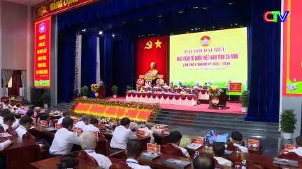 Thời sự tối 28/11/2025