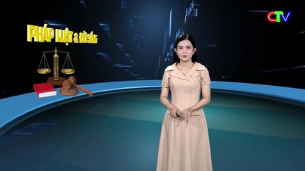 Pháp luật và Đời sống 29/11/2025:  Tình hình thực hiện, tác động của chính sách hỗ trợ cán bộ, công chức