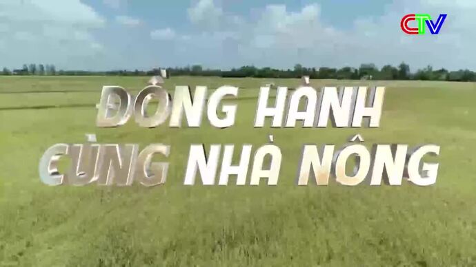 Đồng hành cùng nhà nông 29/11/2025: Giải pháp phòng, chống dịch bệnh gia súc, gia cầm trên địa bàn tỉnh Cà Mau